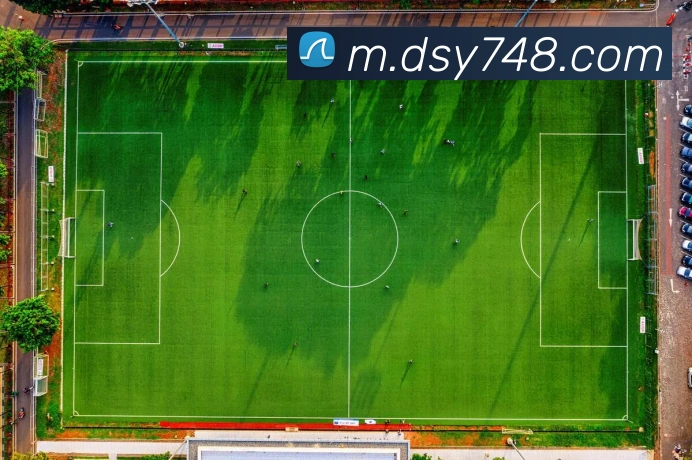 多媒体互动体验